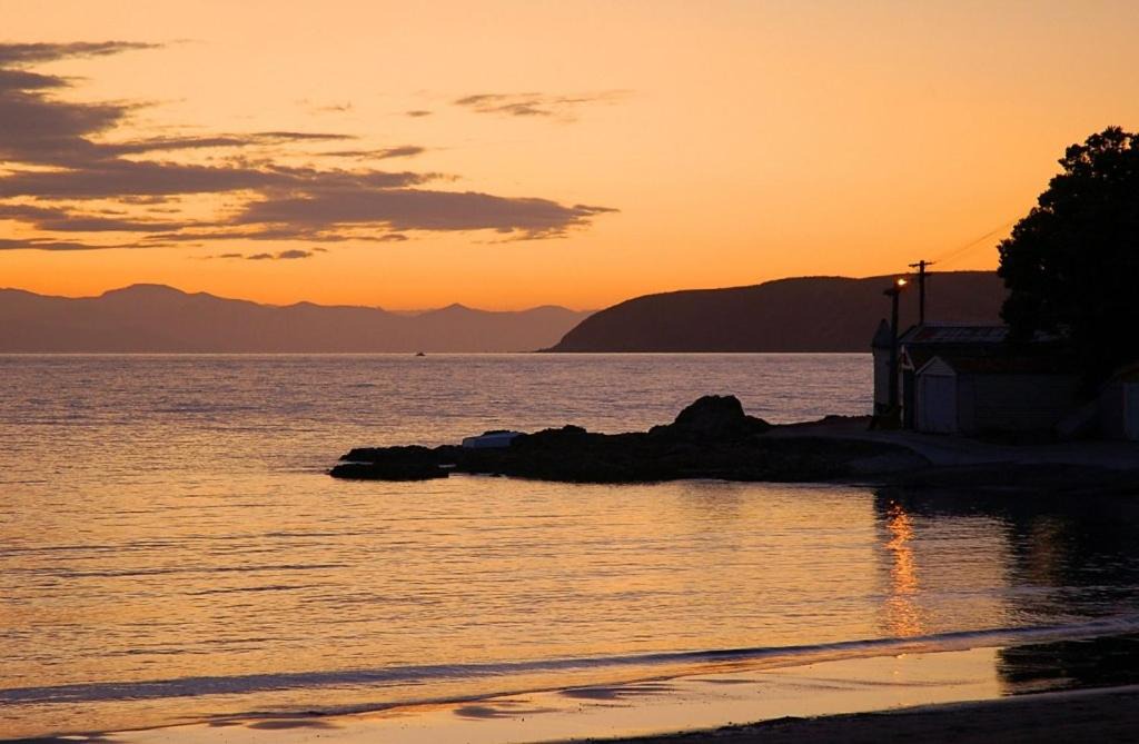 Photo of Others in Titahi Bay