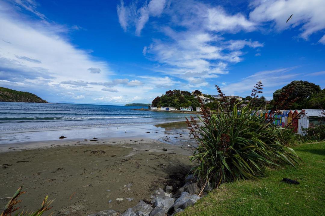 Photo of Others in Titahi Bay