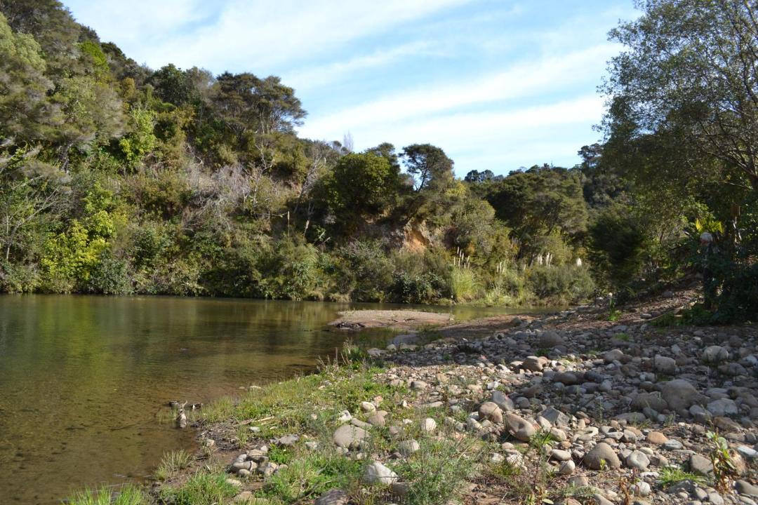 Photo of Others in Te Mata