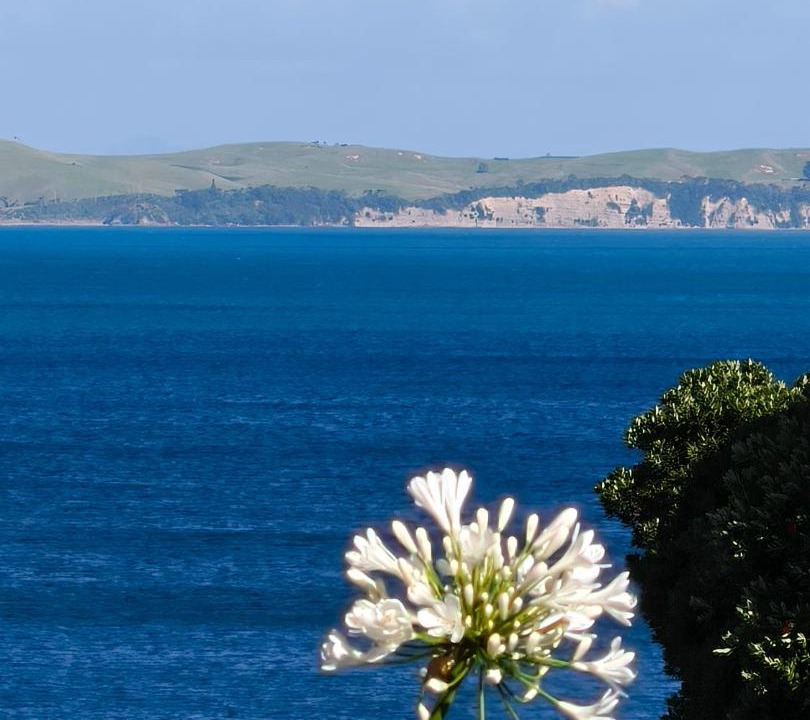 Photo of Others in Browns Bay