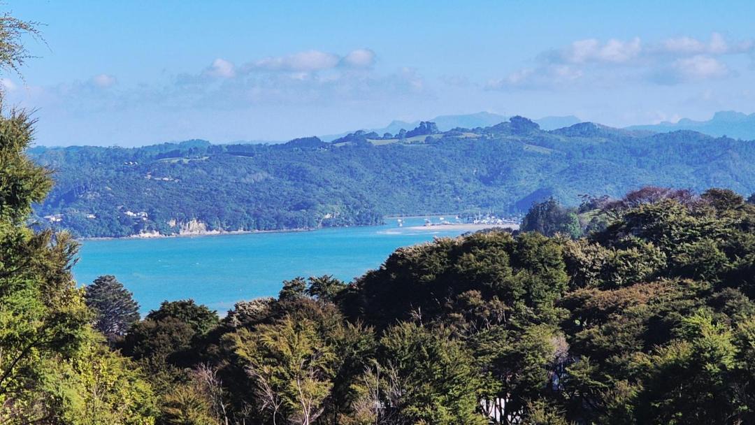 Photo of Others in Whitianga