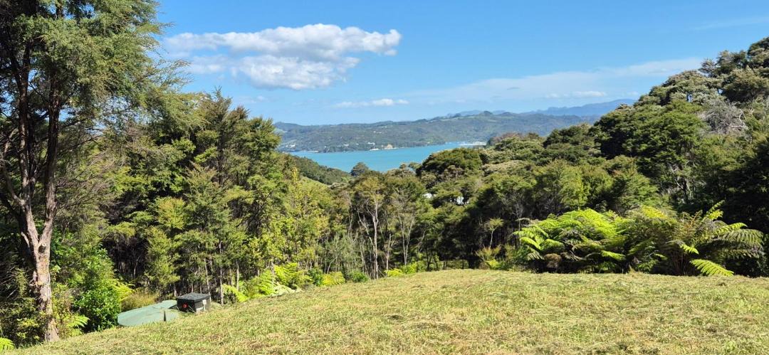 Photo of Others in Whitianga