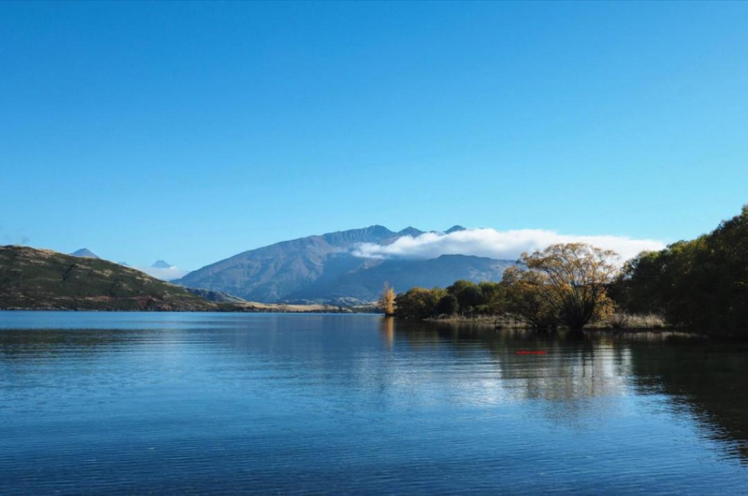 Photo of Others in Wanaka