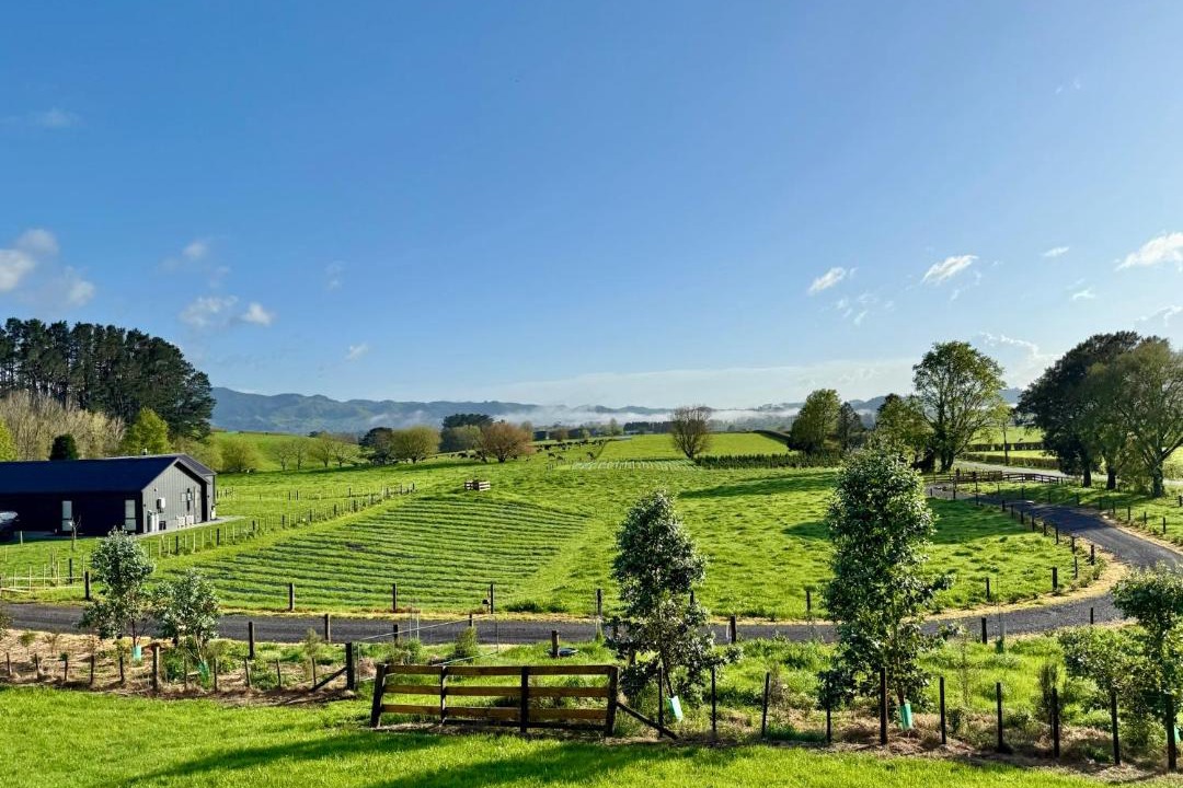 Photo of Others in Waihi