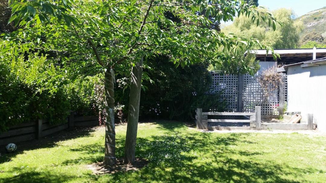 Photo of Others in Christchurch