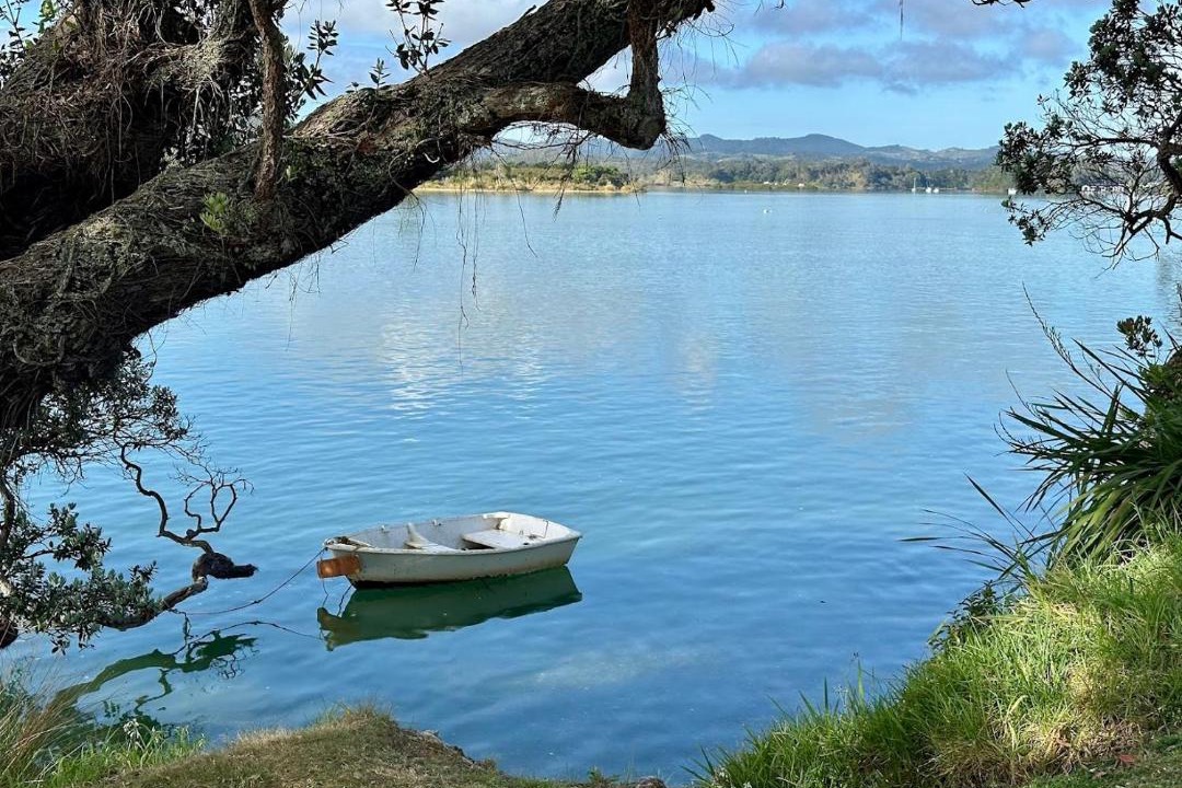 Photo of Others in Ngunguru