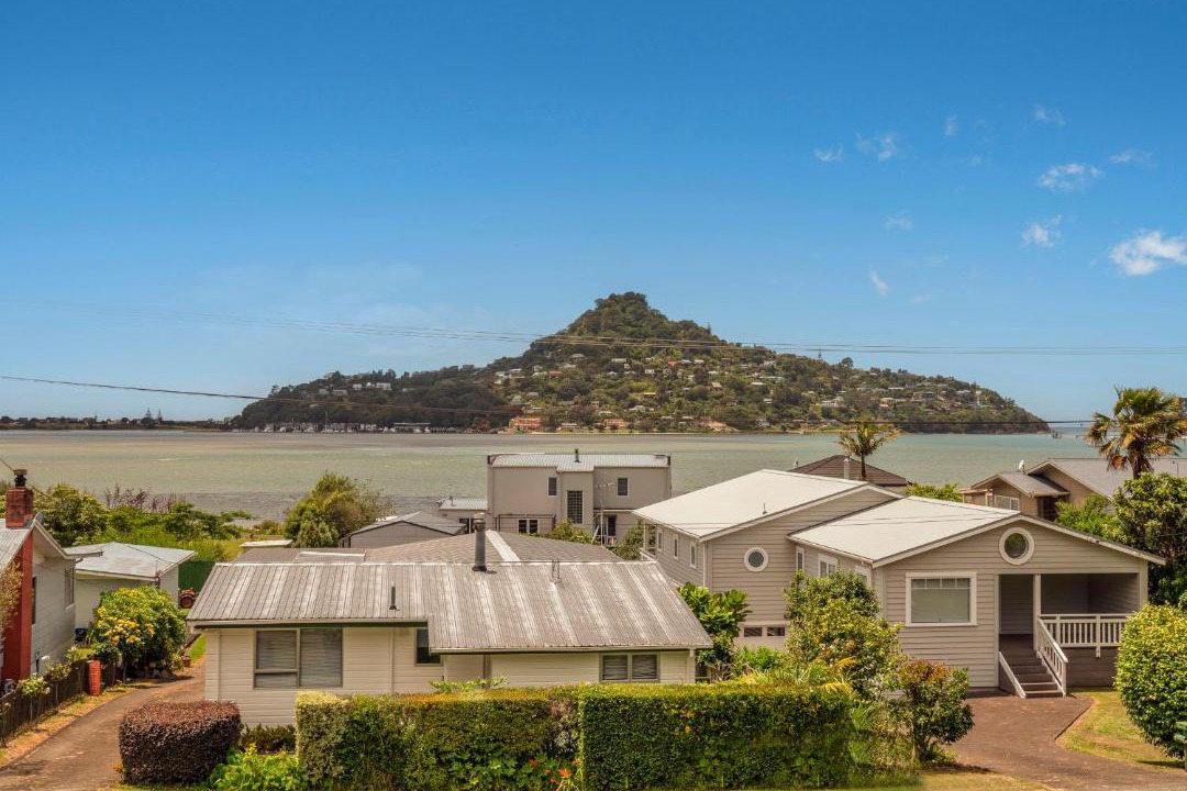 Photo of Others in Tairua