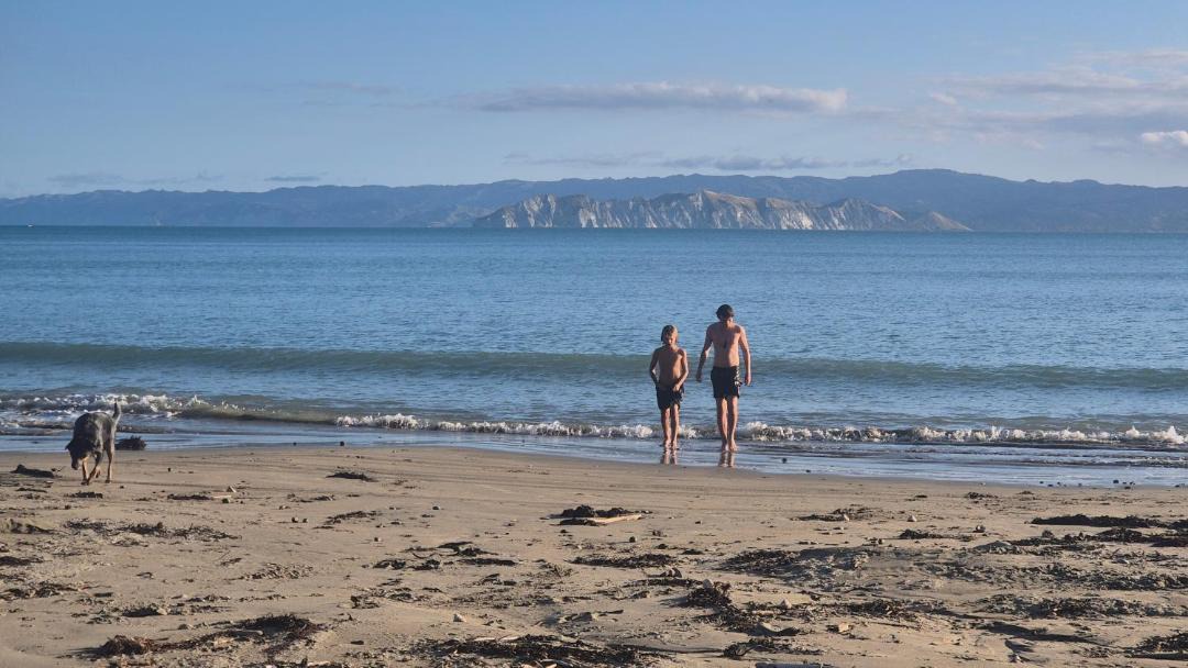 Photo of Others in Gisborne