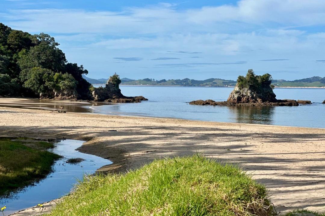 Photo of Others in Ngunguru