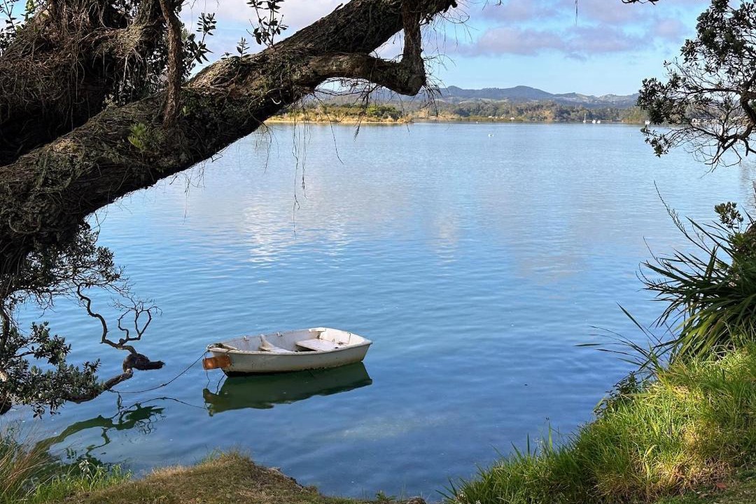 Photo of Others in Ngunguru