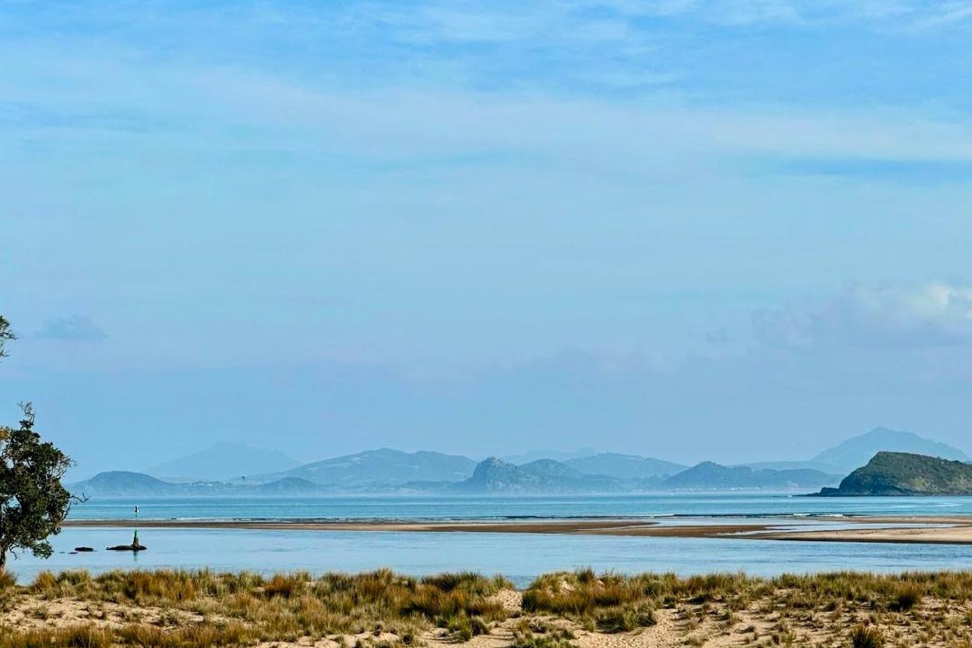 Photo of Others in Ngunguru