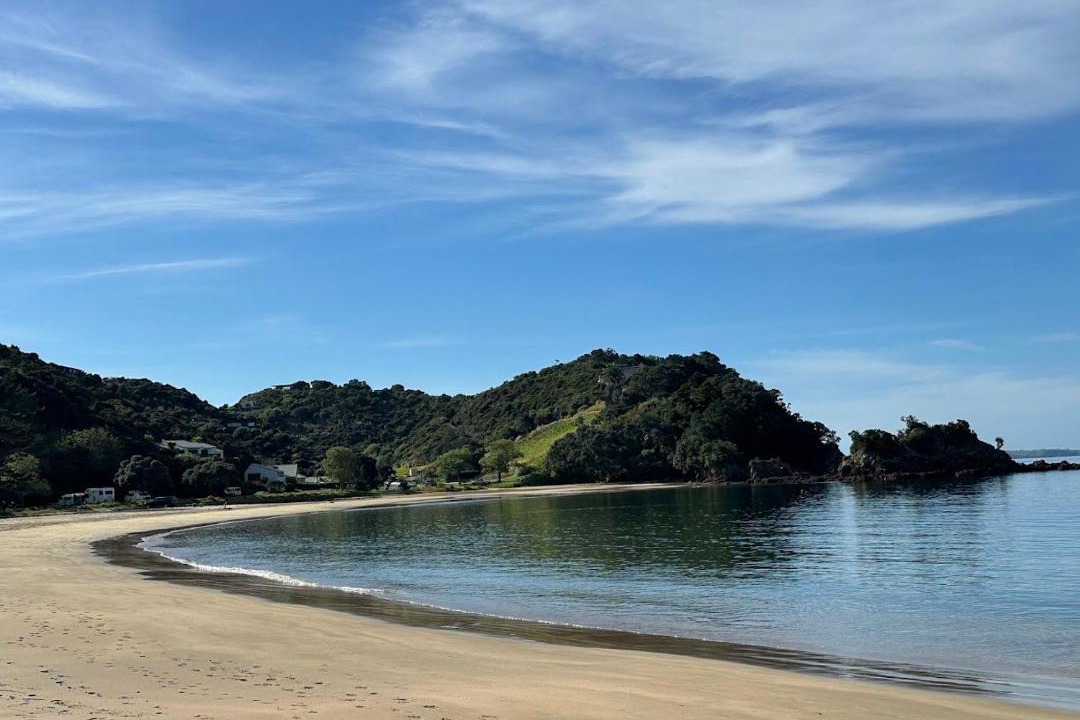 Photo of Others in Ngunguru