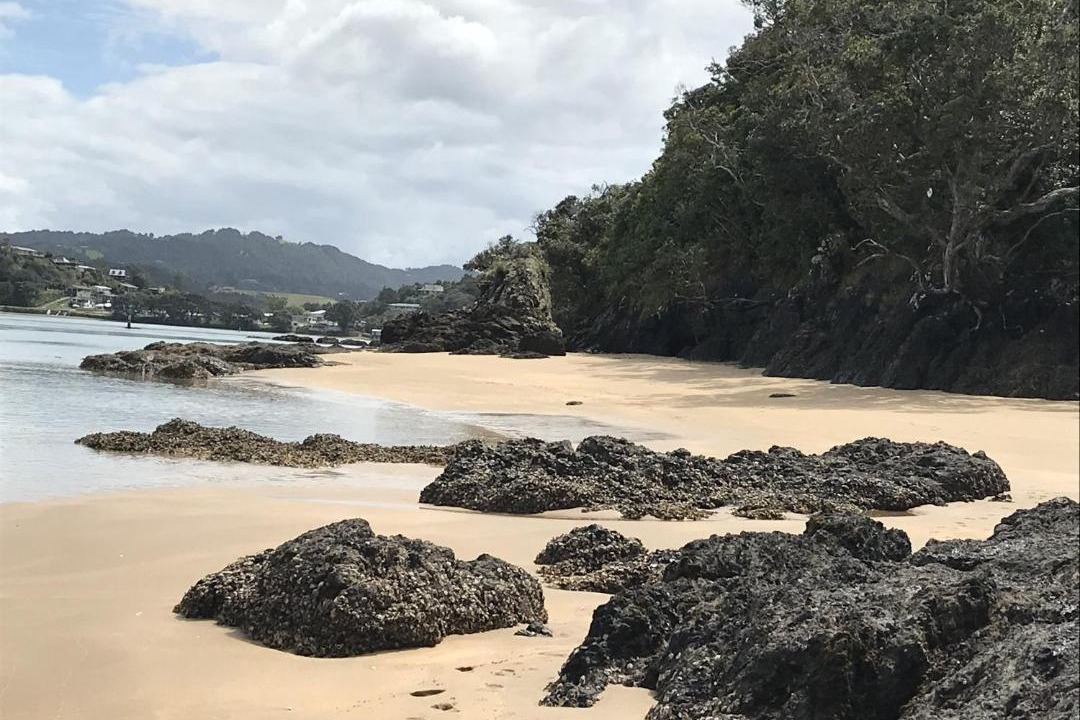 Photo of Others in Ngunguru