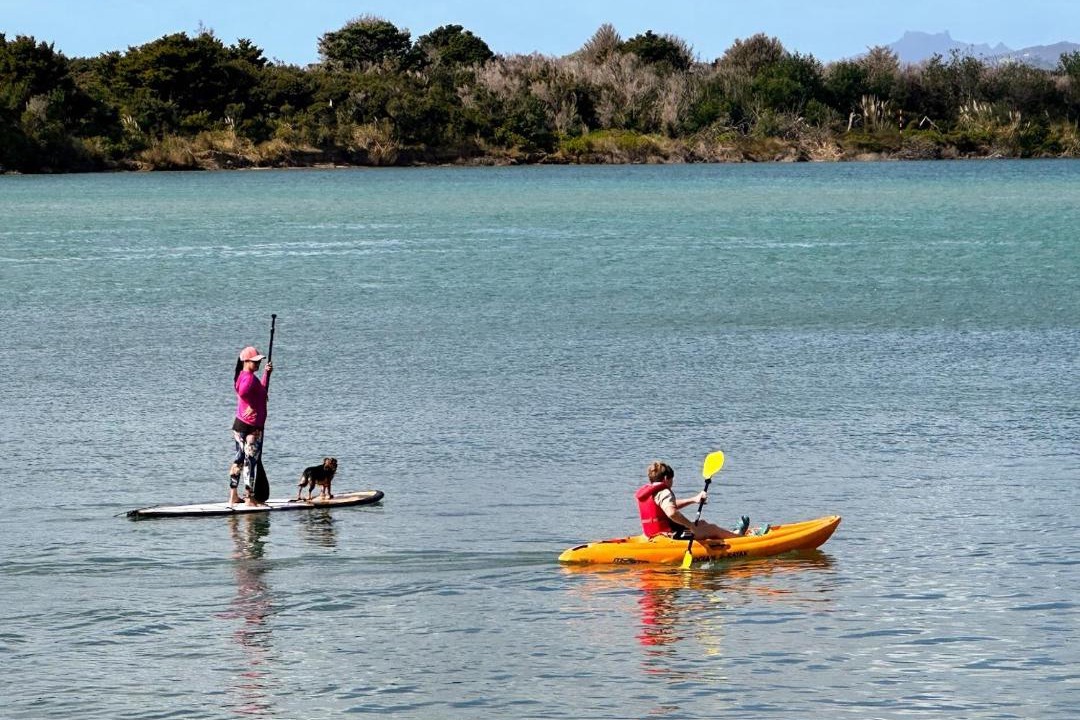 Photo of Others in Ngunguru