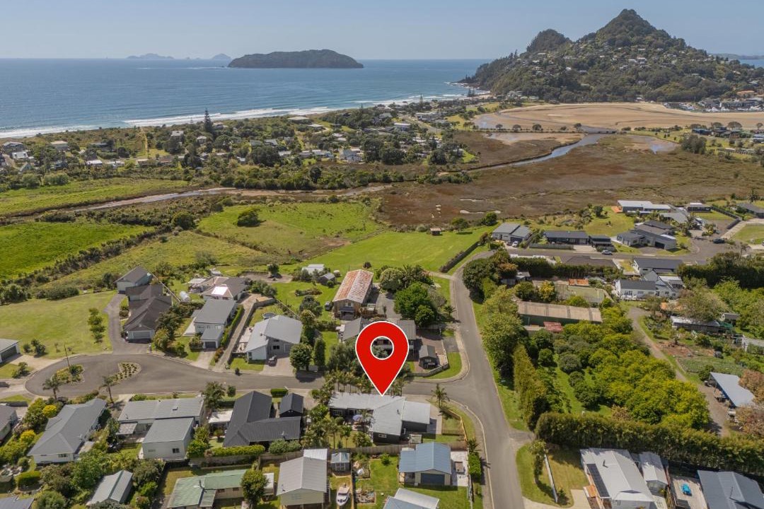 Photo of Others in Tairua