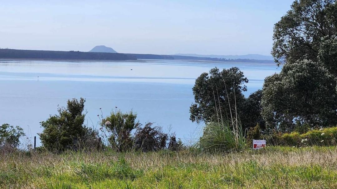Photo of Others in Katikati