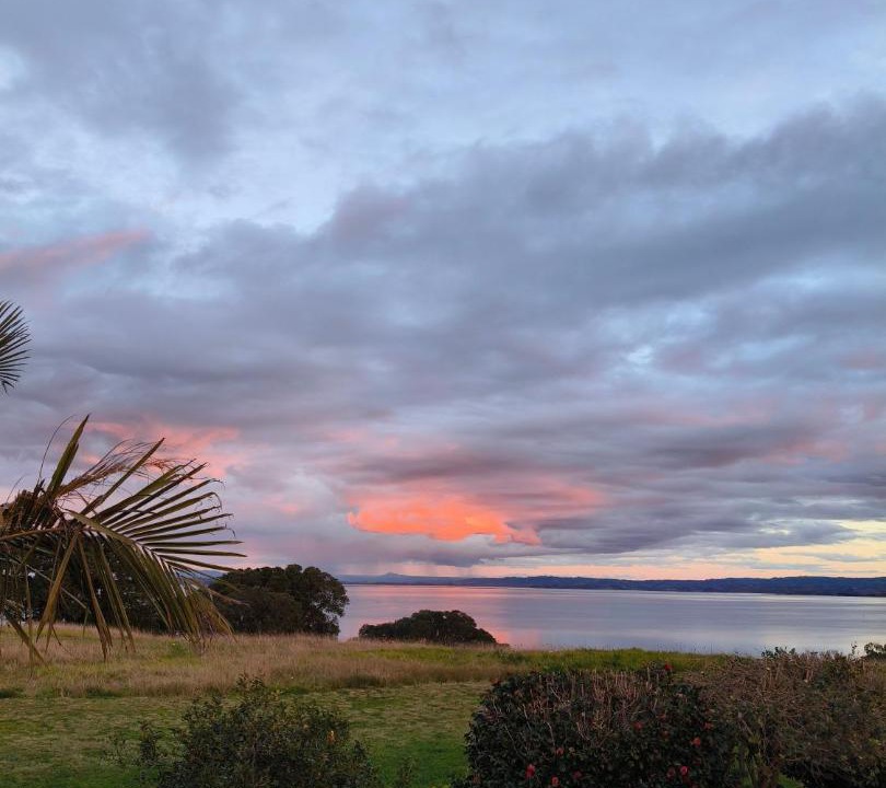 Photo of Others in Katikati