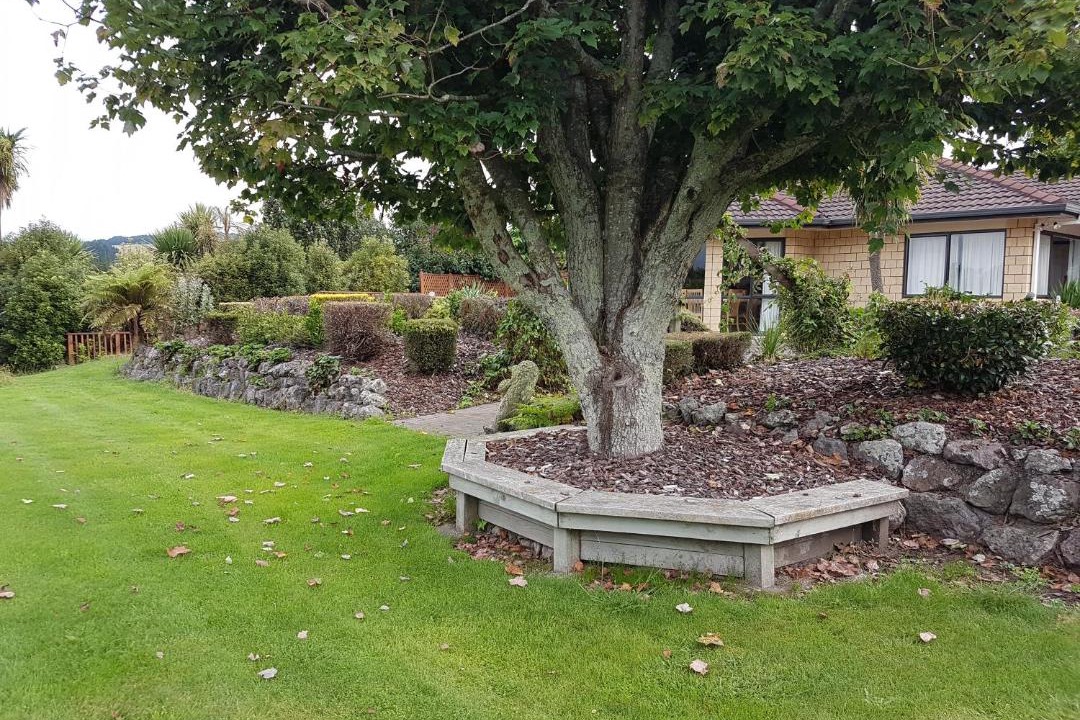 Photo of Others in Pukehangi