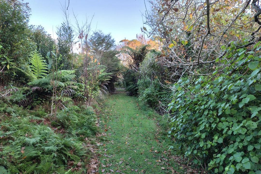 Photo of Others in Katikati