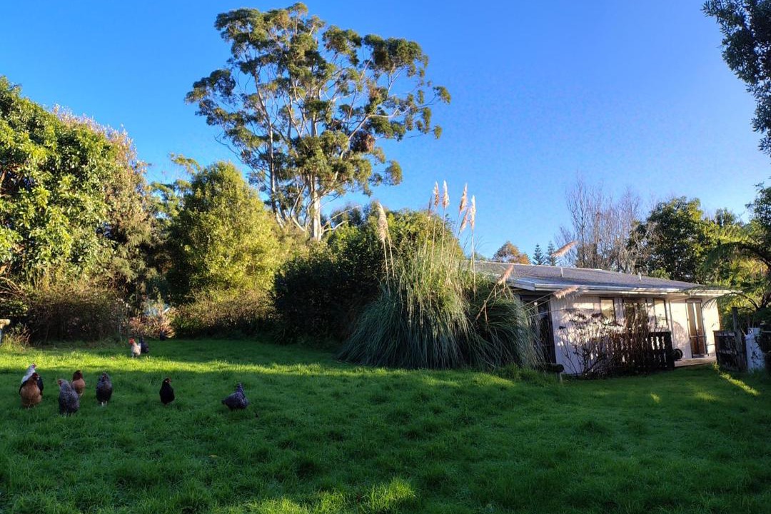 Photo of Others in Katikati