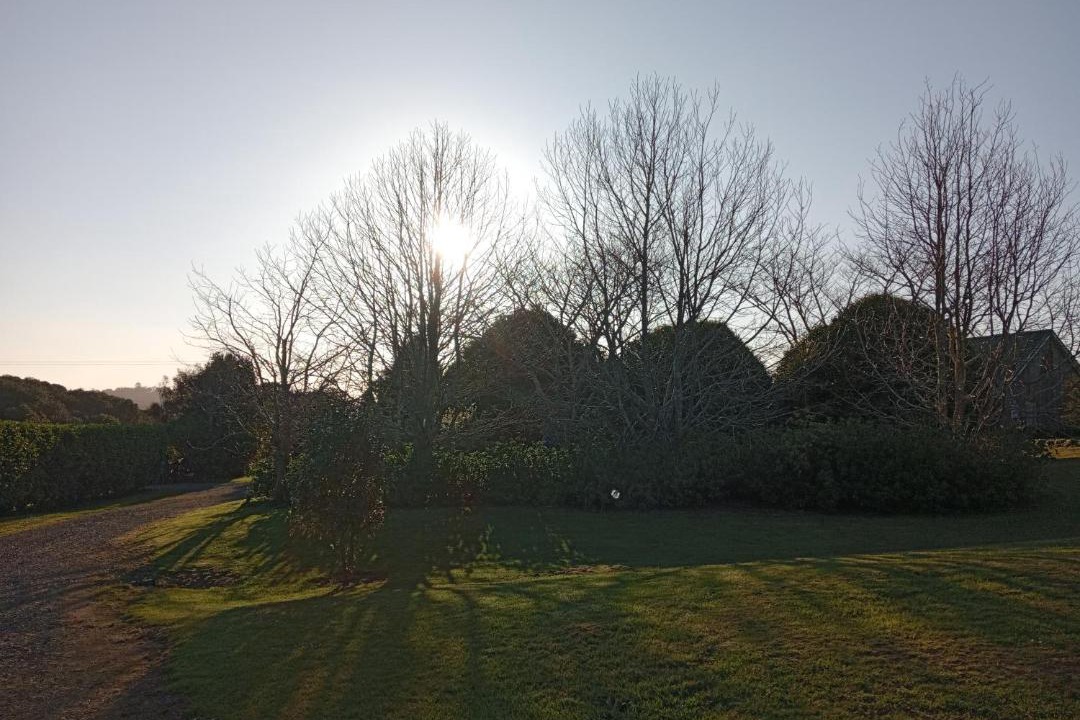 Photo of Others in Waimate North