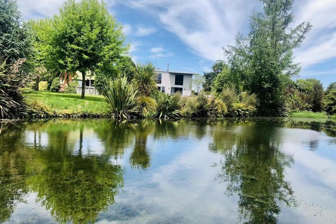 Photo of Others in Ohakune
