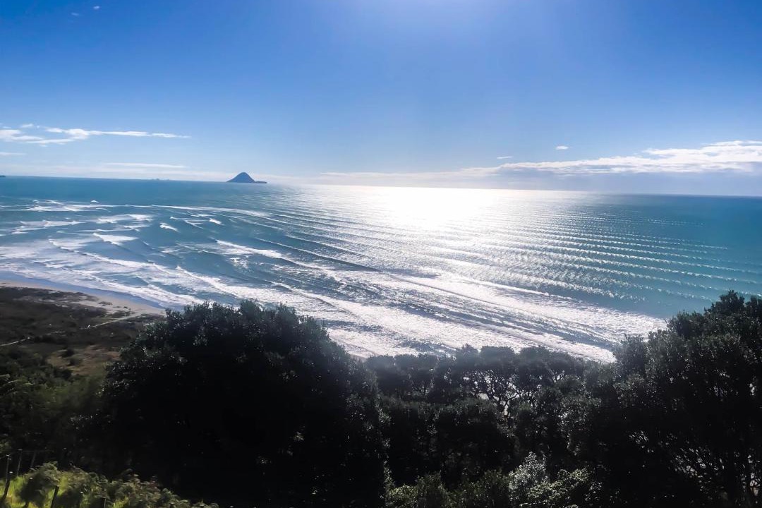 Photo of Others in Tirohanga