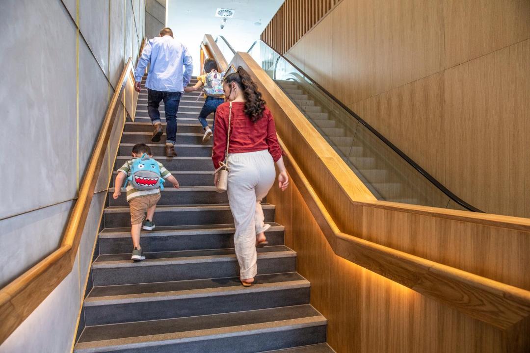 Photo of Others in Auckland Central Business District