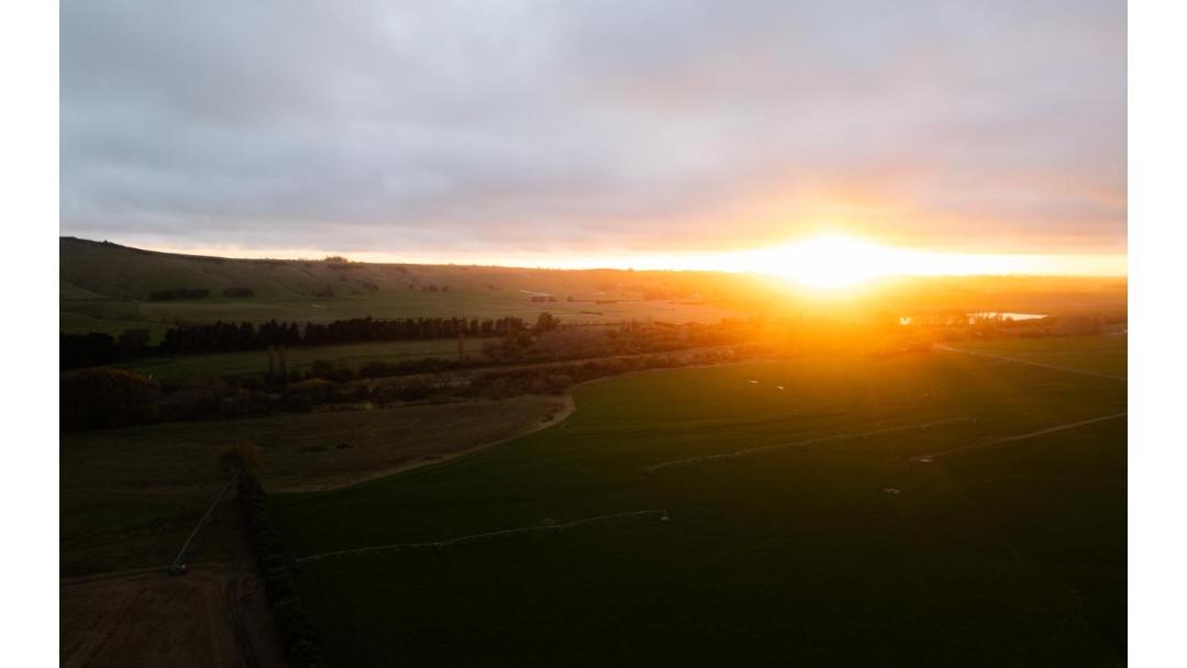 Photo of Others in Waimate District