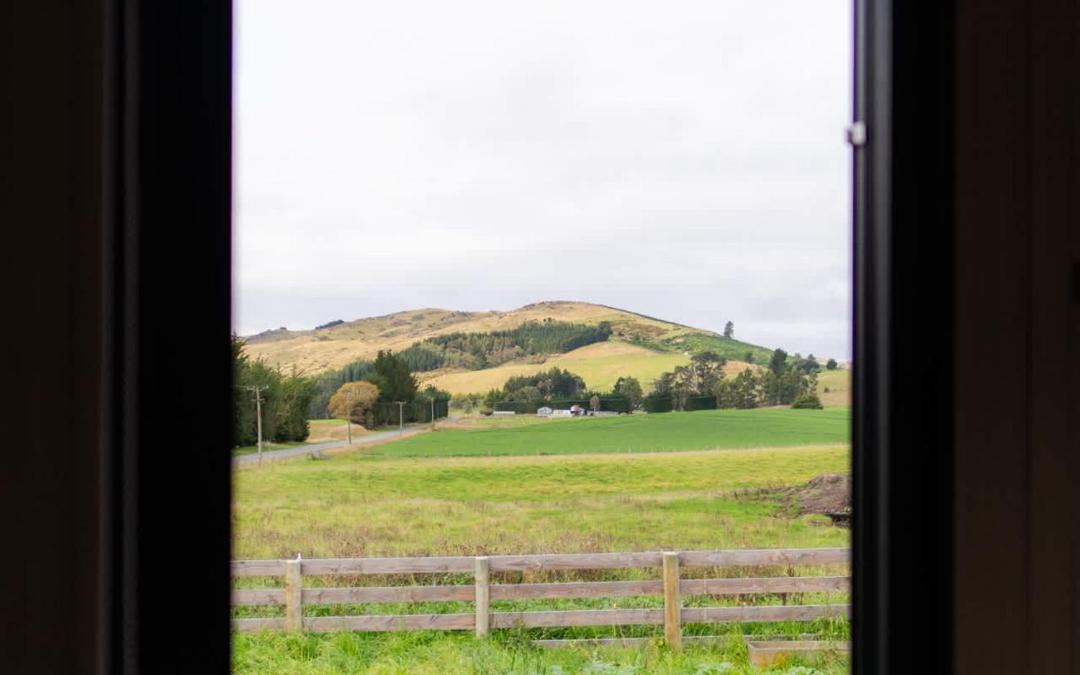 Photo of Others in Waikari