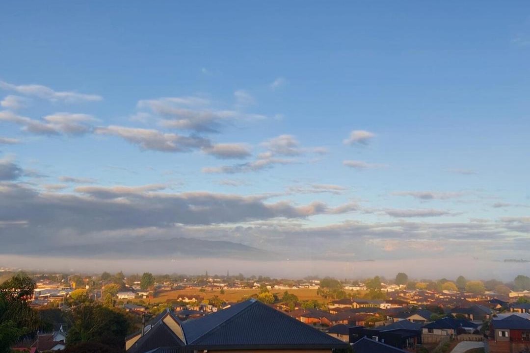 Photo of Others in Te Awamutu