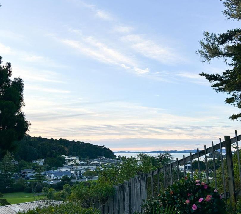Photo of Others in Paihia