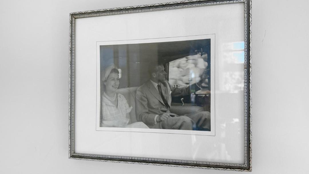 Photo of Others in Napier