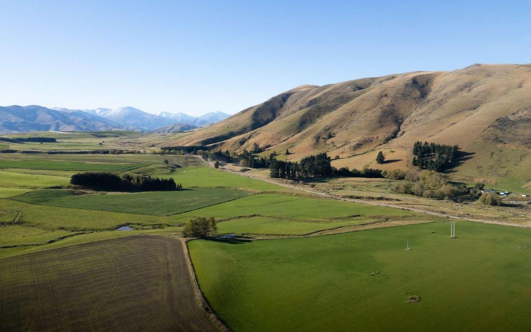 Photo of Others in Mackenzie Country