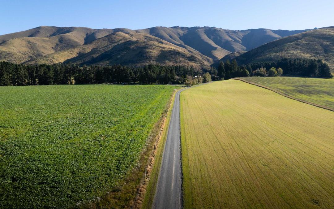 Photo of Others in Mackenzie Country