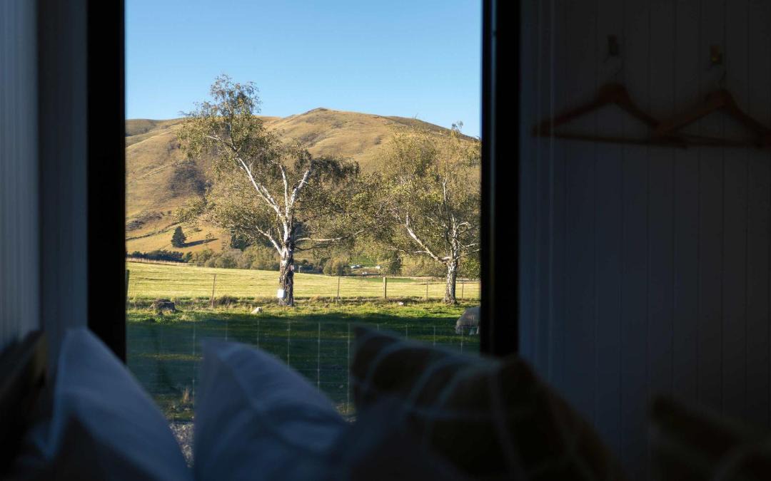 Photo of Others in Mackenzie Country