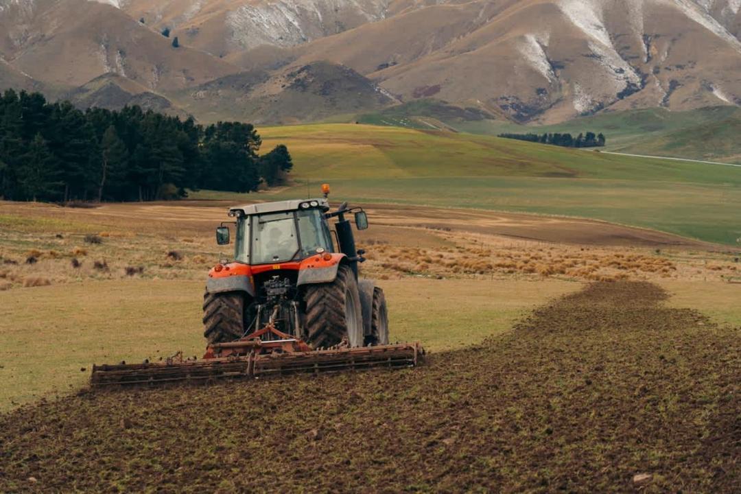 Photo of Others in Mackenzie Country