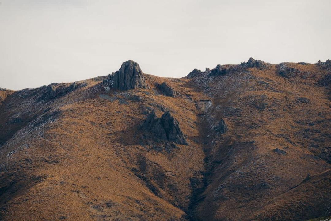 Photo of Others in Mackenzie Country