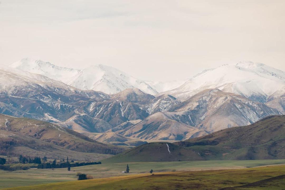 Photo of Others in Mackenzie Country