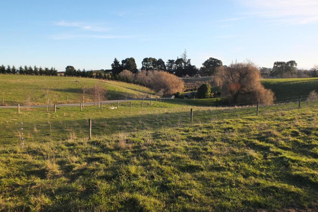 Photo of Others in Oamaru