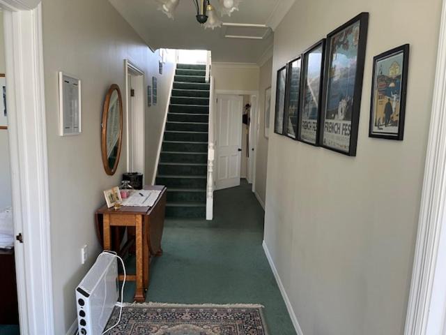 Photo of Others in Akaroa