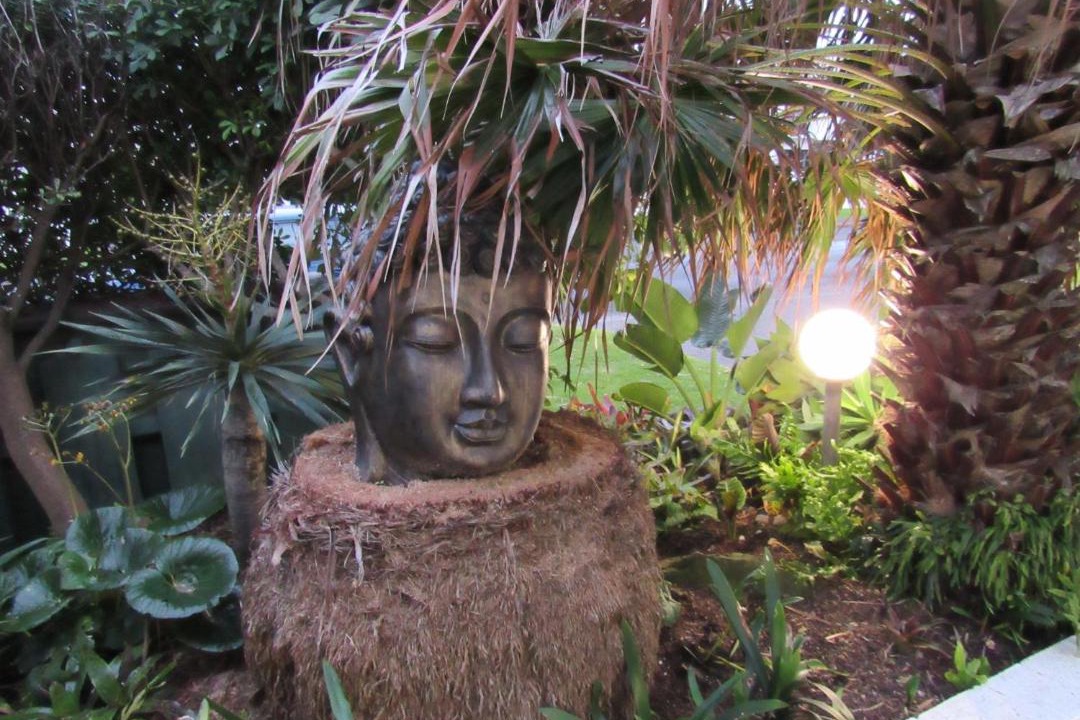 Photo of Others in Orewa