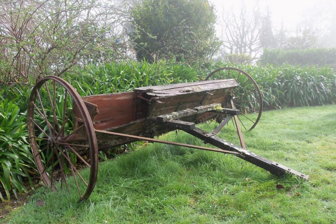 Photo of Others in Clevedon