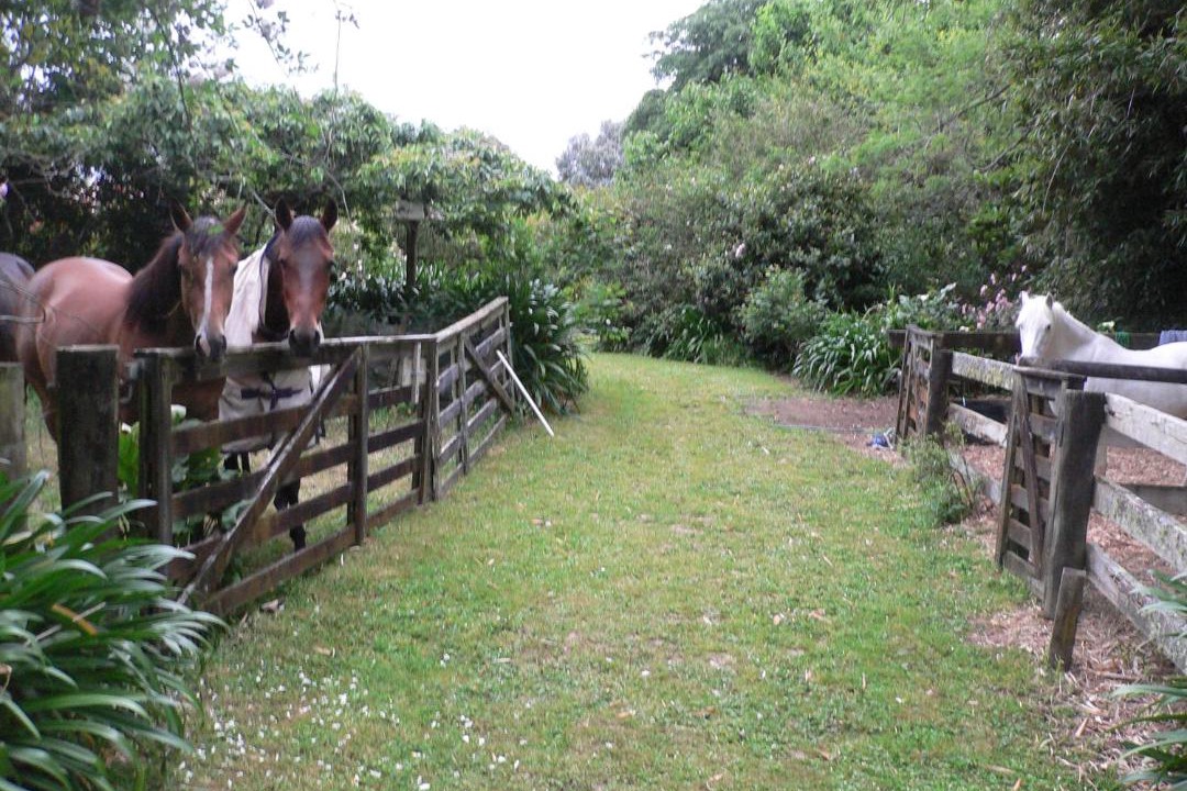 Photo of Others in Clevedon