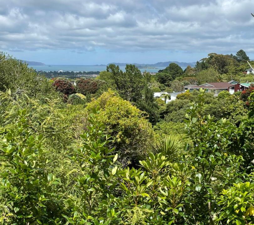 Photo of Others in Lower Hutt