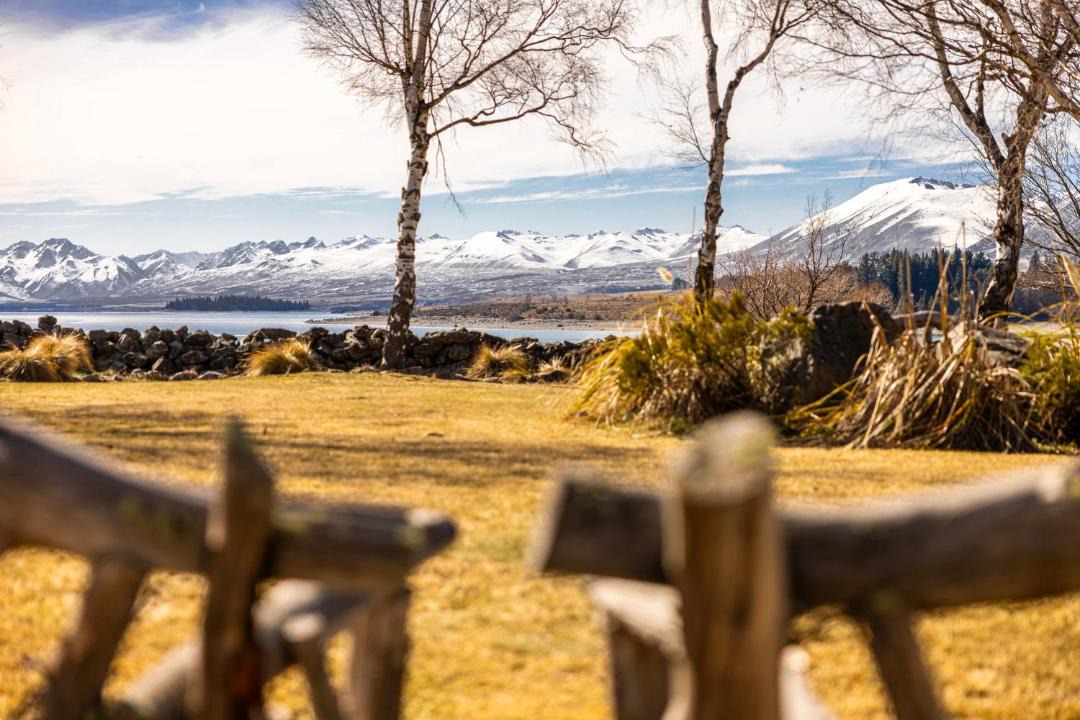 Photo of Others in Tekapo