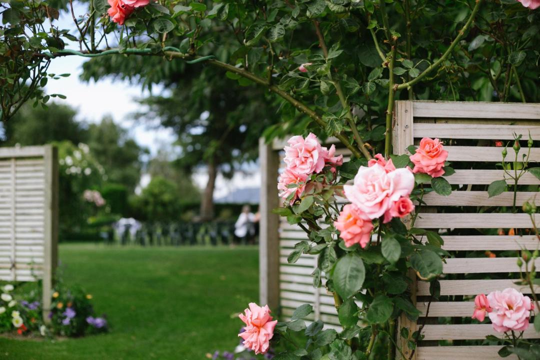Photo of Others in Ashburton