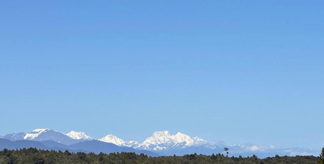 Photo of Others in Hokitika