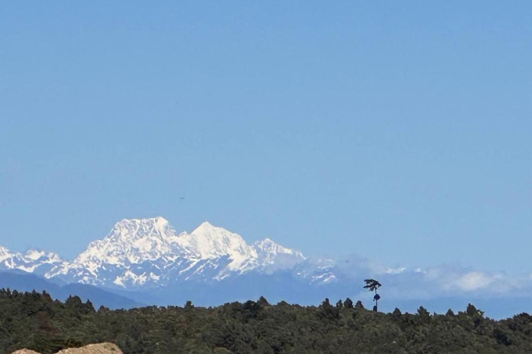 Photo of Others in Hokitika