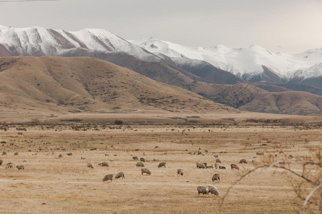 Photo of Others in Ben Ohau